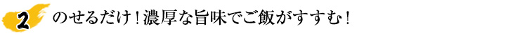 のせるだけ！濃厚な旨味でご飯がすすむ！