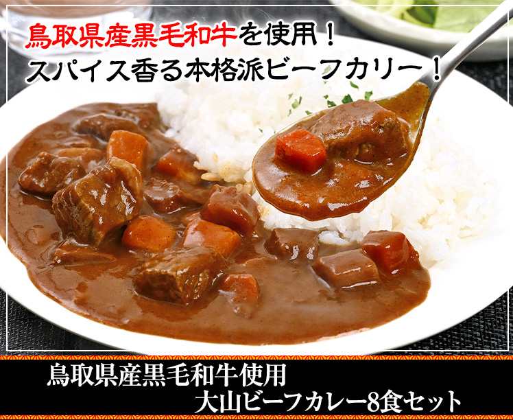 鳥取県産黒毛和牛使用 大山ビーフカレー8食セット
