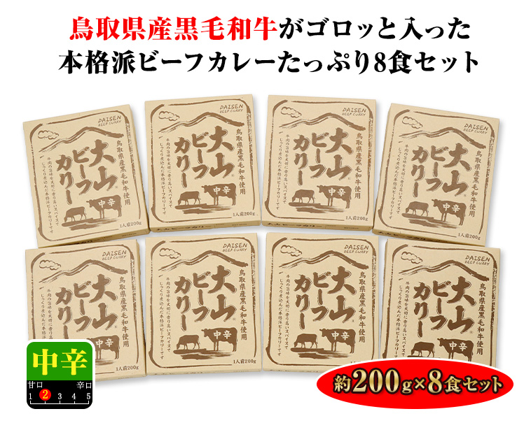 鳥取県産黒毛和牛がゴロッと入った
本格派ビーフカレーたっぷり8食セット