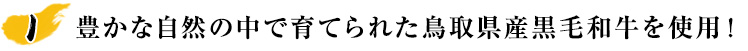 豊かな自然の中で育てられた鳥取県産黒毛和牛を使用！
