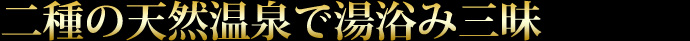 二種の天然温泉で湯浴み三昧