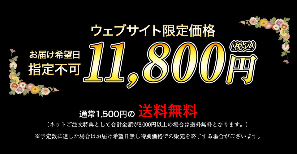 ウェブサイト限定価格 11,800円