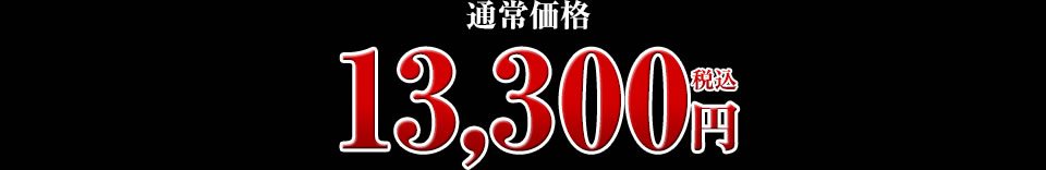 13,300円