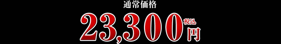23,300円