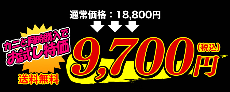 9,700円