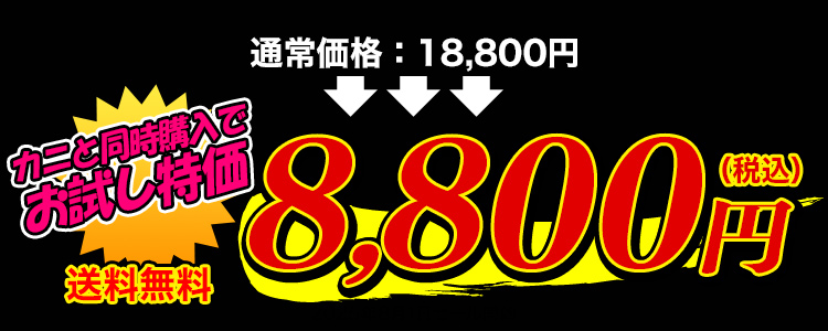 8,800円