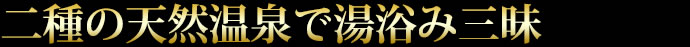 二種の天然温泉で湯浴み三昧