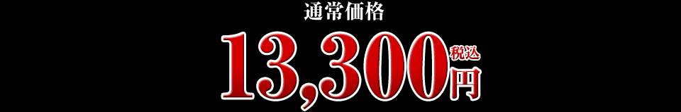 13,300円