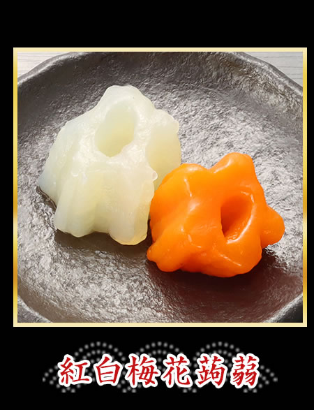 紅白梅花蒟蒻