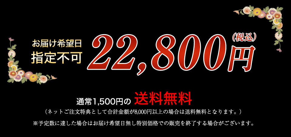 22,800円