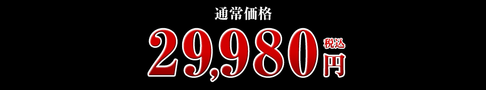 通常価格 29,980円(税込)