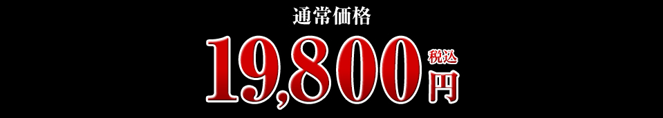 通常価格 19,800円（税込）