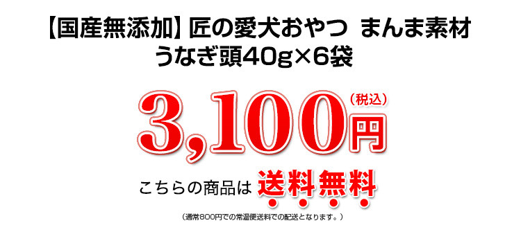 3,100円（税込）
