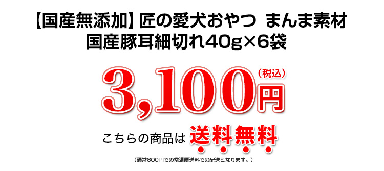 3,100円（税込）