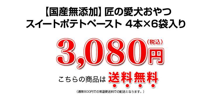 3,100円（税込）