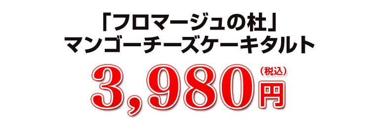 3,980円（税込）