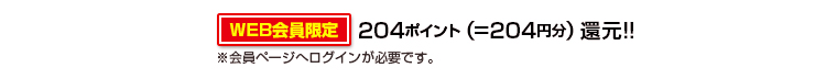 204ポイント