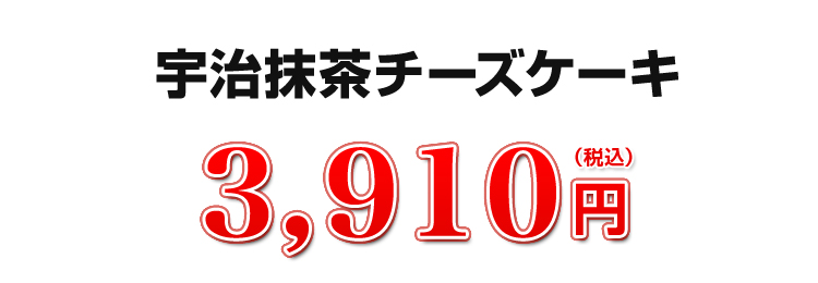 3,910円（税込）