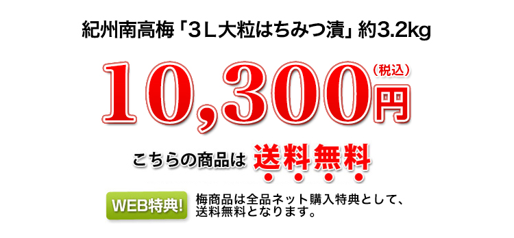 10,300円（税込）