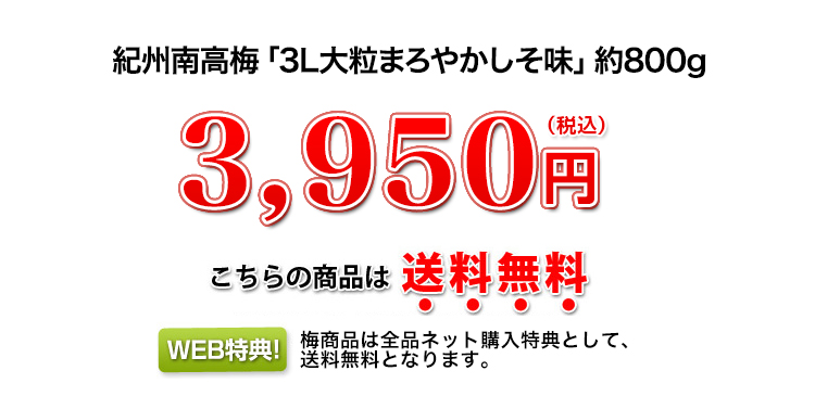 3,150円（税込）