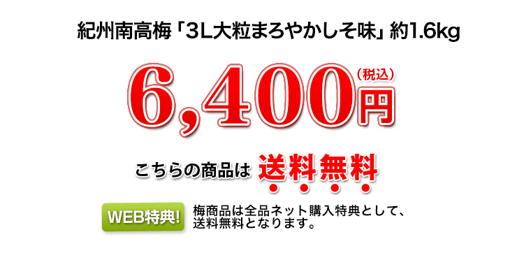 6,400円（税込）