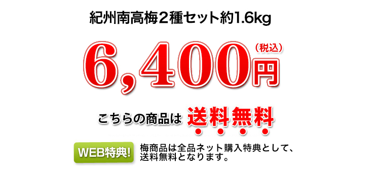 6,400円（税込）