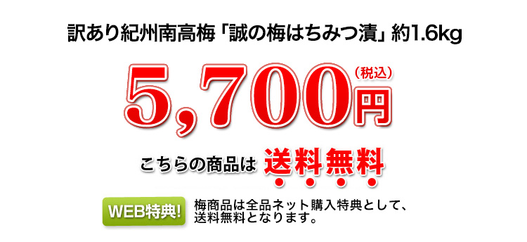 5,700円（税込）