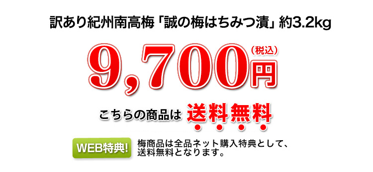 9,700円（税込）