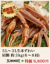 5L～3L生本ずわい肩脚 約3kg（6～8肩）