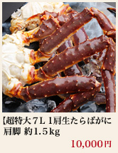超特大7L 1肩生たらばがに肩脚 約1.5kg