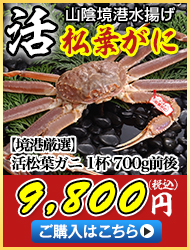【境港厳選】活松葉ガニ1杯700g前後