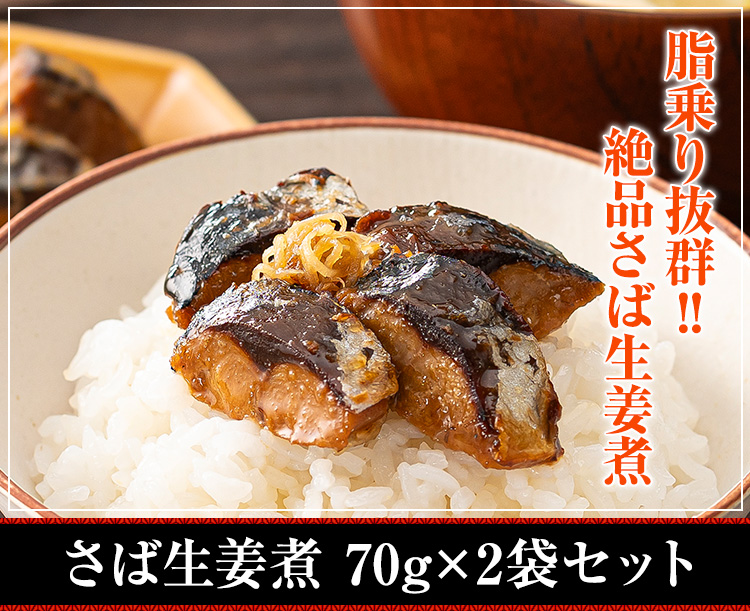 さば生姜煮 70g×2袋セット