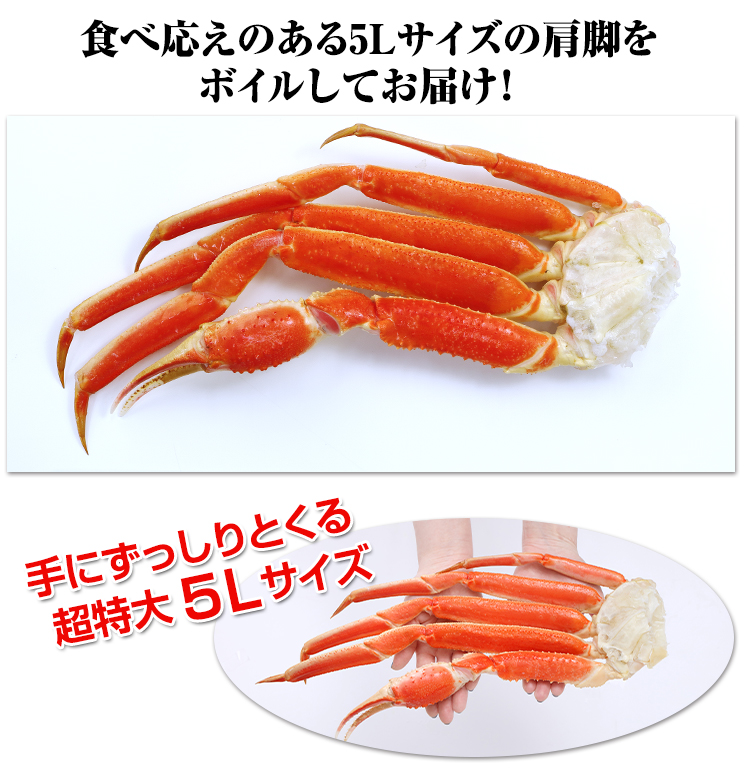 739：プレミアム超特大5Lボイルずわいがに肩脚5～6肩(総重量約2.5Kg)