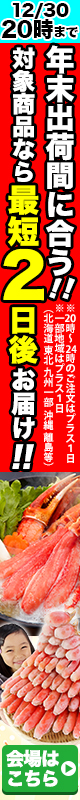 最短2日後お届け 12/30 20時まで