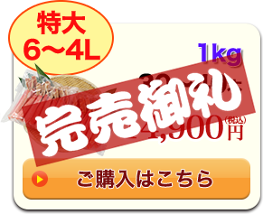 特大6～4L 1kg 30～40本 14,900円（税込）