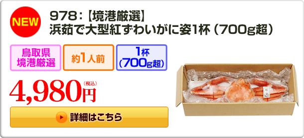 768：【境港厳選大型サイズ】浜茹で松葉ガニ 1杯800g超(ブランドタグ付き)