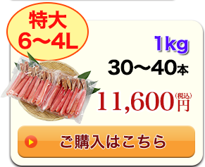 特大6～4L 1kg 30～40本 14,600円（税込）