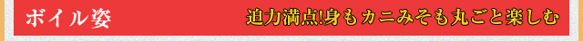 ボイル姿 迫力満点!身もカニみそも丸ごと楽しむ