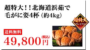 超特大！！北海道浜茹で毛がに 姿4杯（約4kg）送料無料 49,800円(税込）